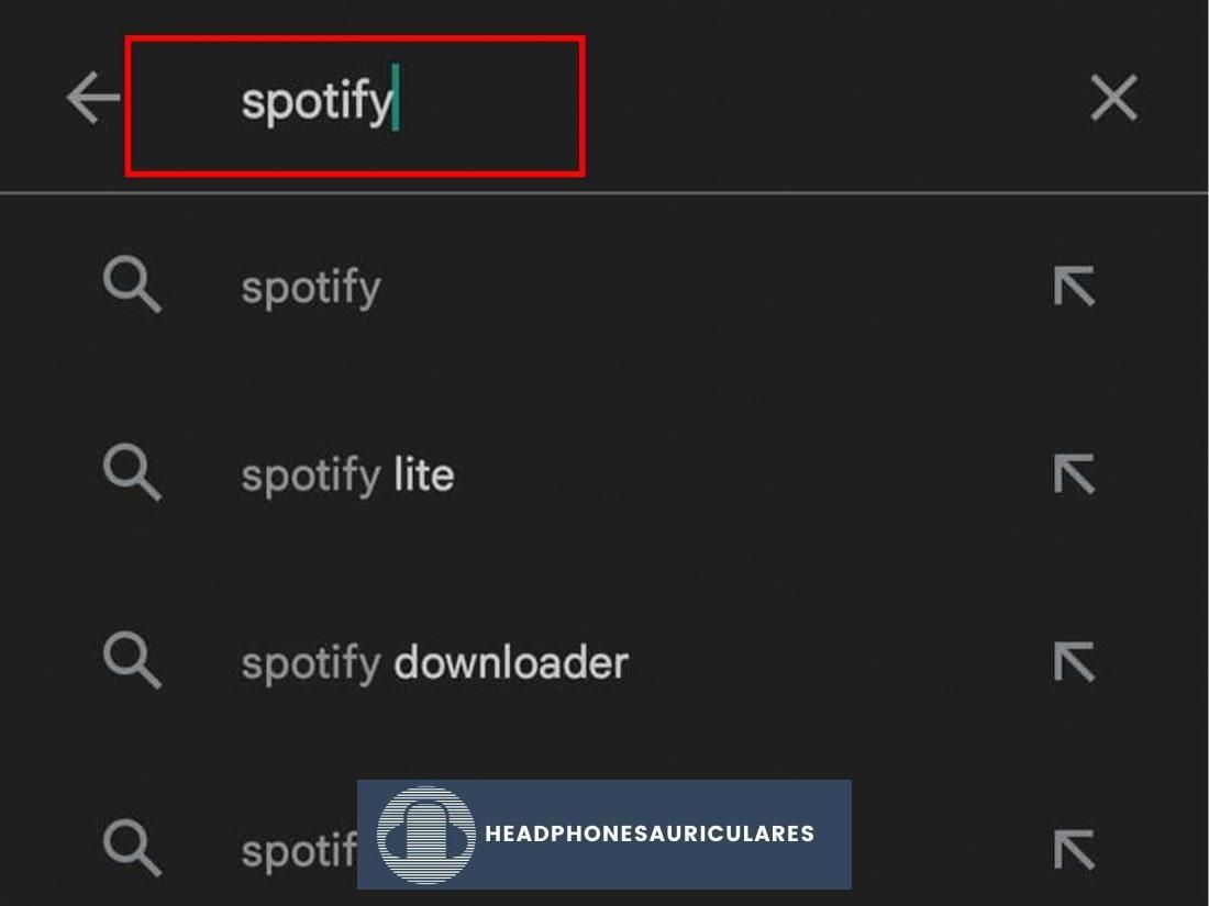 Busque Spotify en el cuadro de búsqueda.