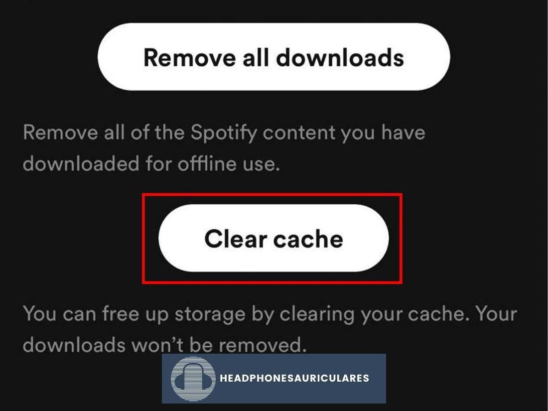 Comience a borrar archivos de caché en Spotify.