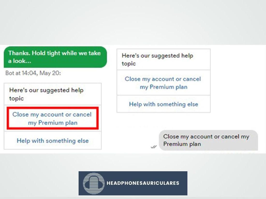 'Cerrar mi cuenta o cancelar mi plan Premium' en el cuadro de chat de atención al cliente de Spotify.