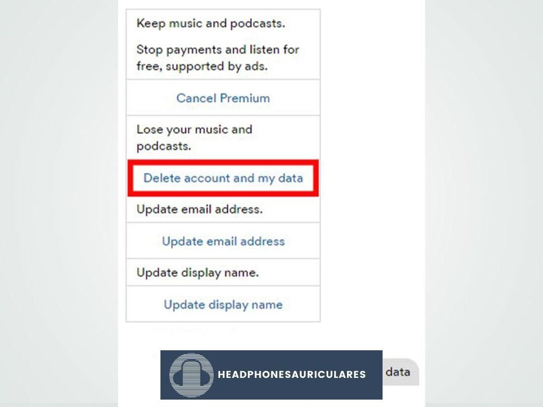 'Eliminar cuenta y mis datos' en el cuadro de chat de atención al cliente de Spotify.