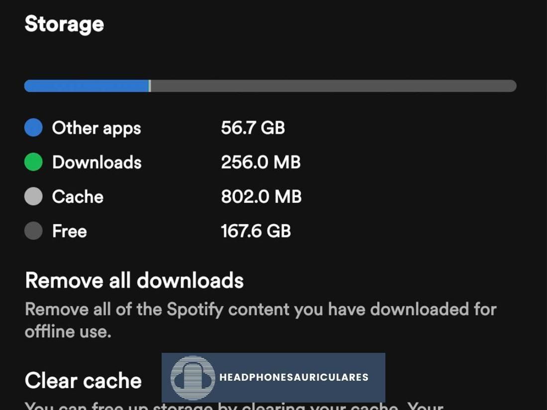Configuración de almacenamiento de Spotify