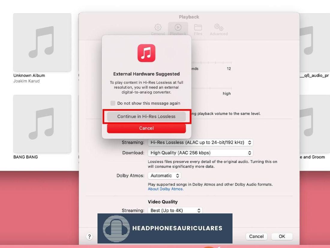 Guardar la configuración sin pérdida de alta resolución en Apple Music