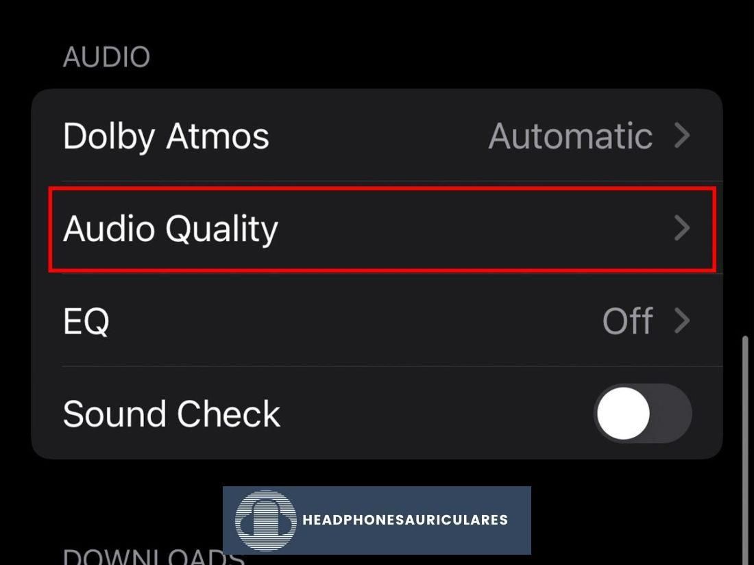 Ir a Calidad de audio en iPhone