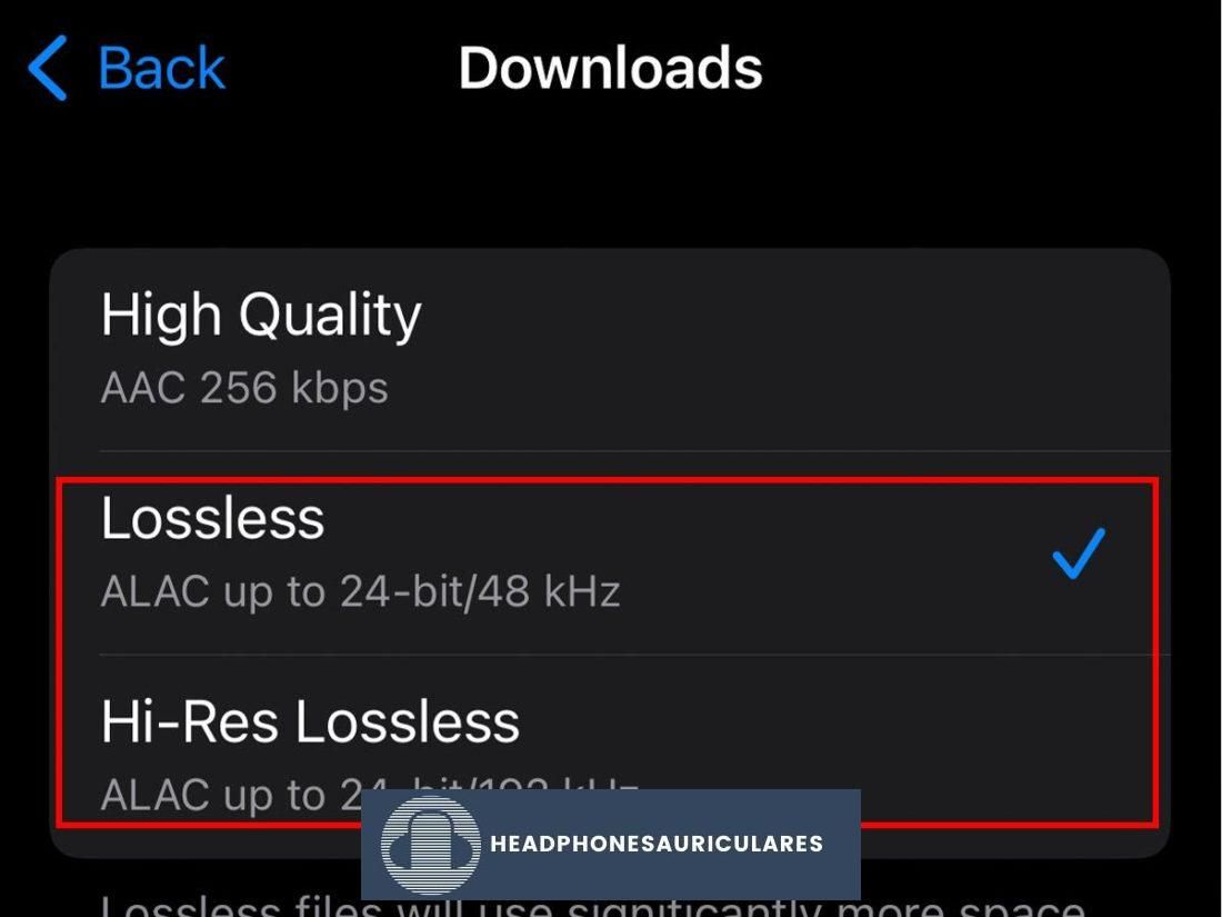 Elija la calidad de descarga en iPhone
