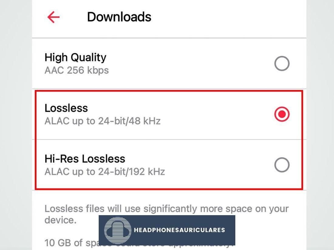 Elegir la calidad de descarga en Android