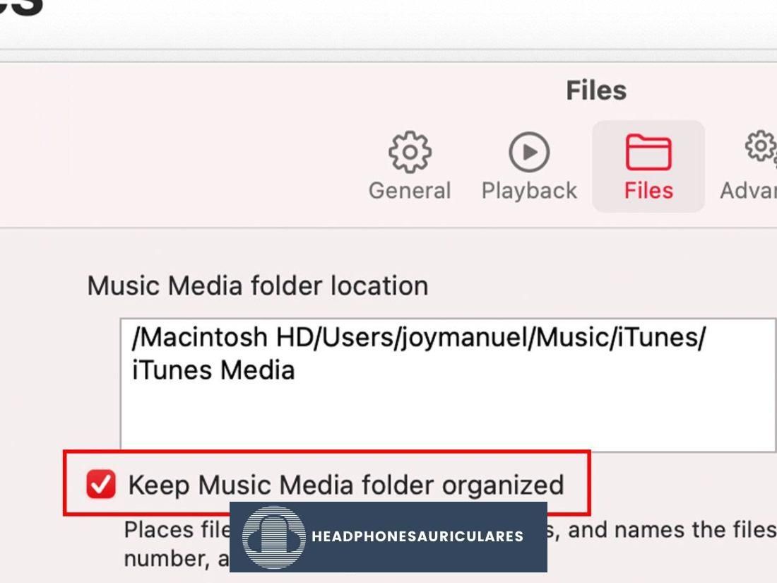 Habilite 'Mantener la carpeta de medios de música organizada' en Mac