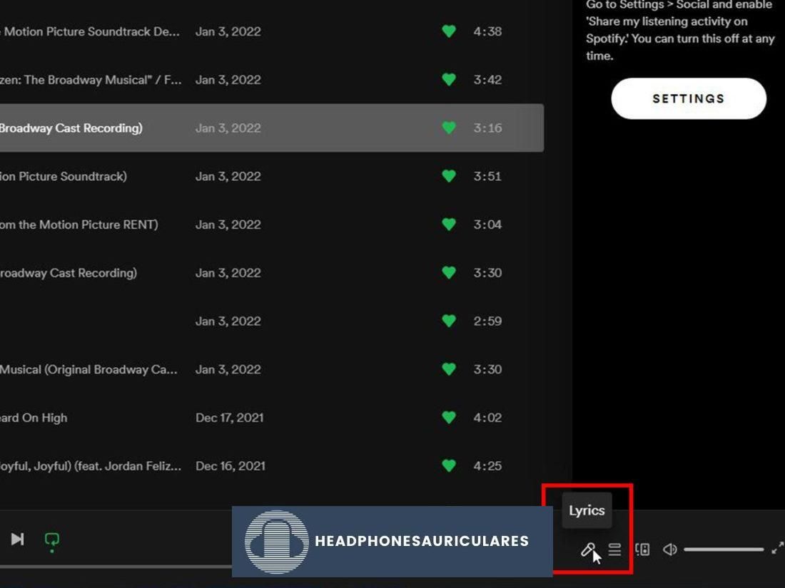 Icono de micrófono en la aplicación de escritorio de Spotify