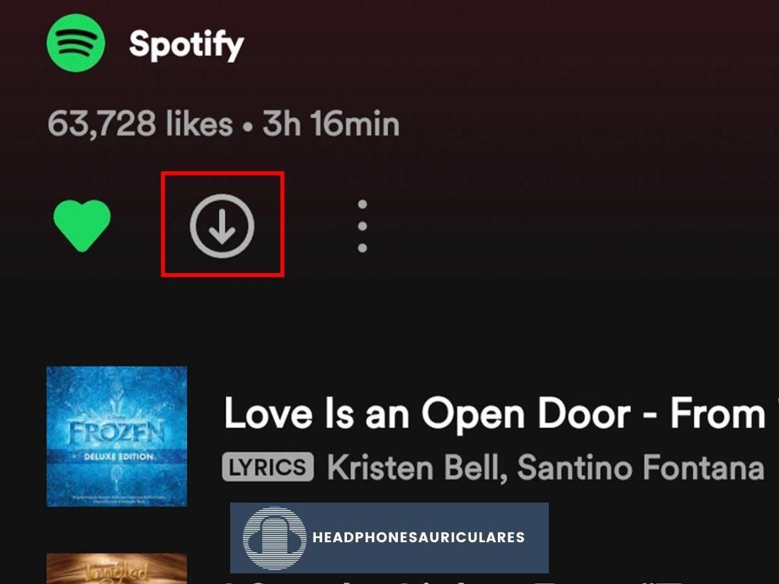 Icono de descarga de Spotify para listas de reproducción