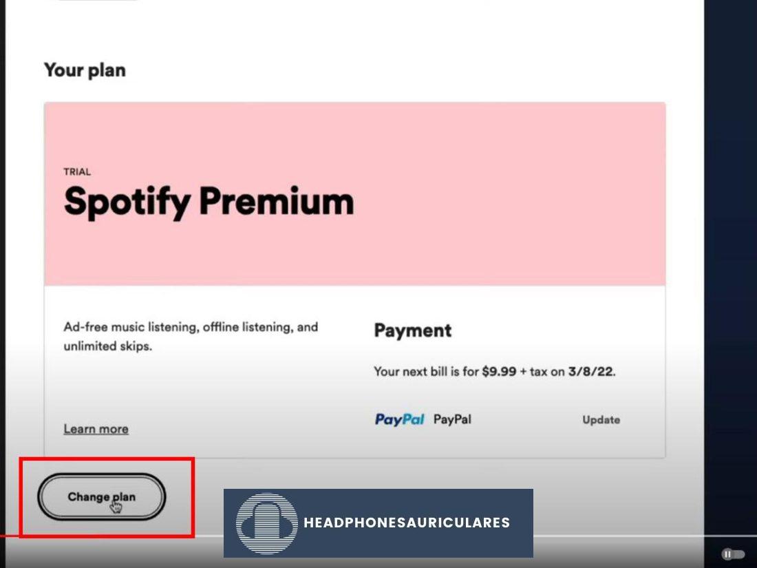 Haz clic en Cambiar plan en Spotify (De: Youtube/Dusty Porter)