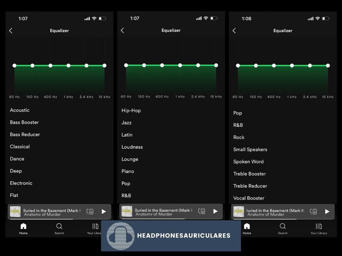 Ajustes preestablecidos de ecualizador de Spotify iOS