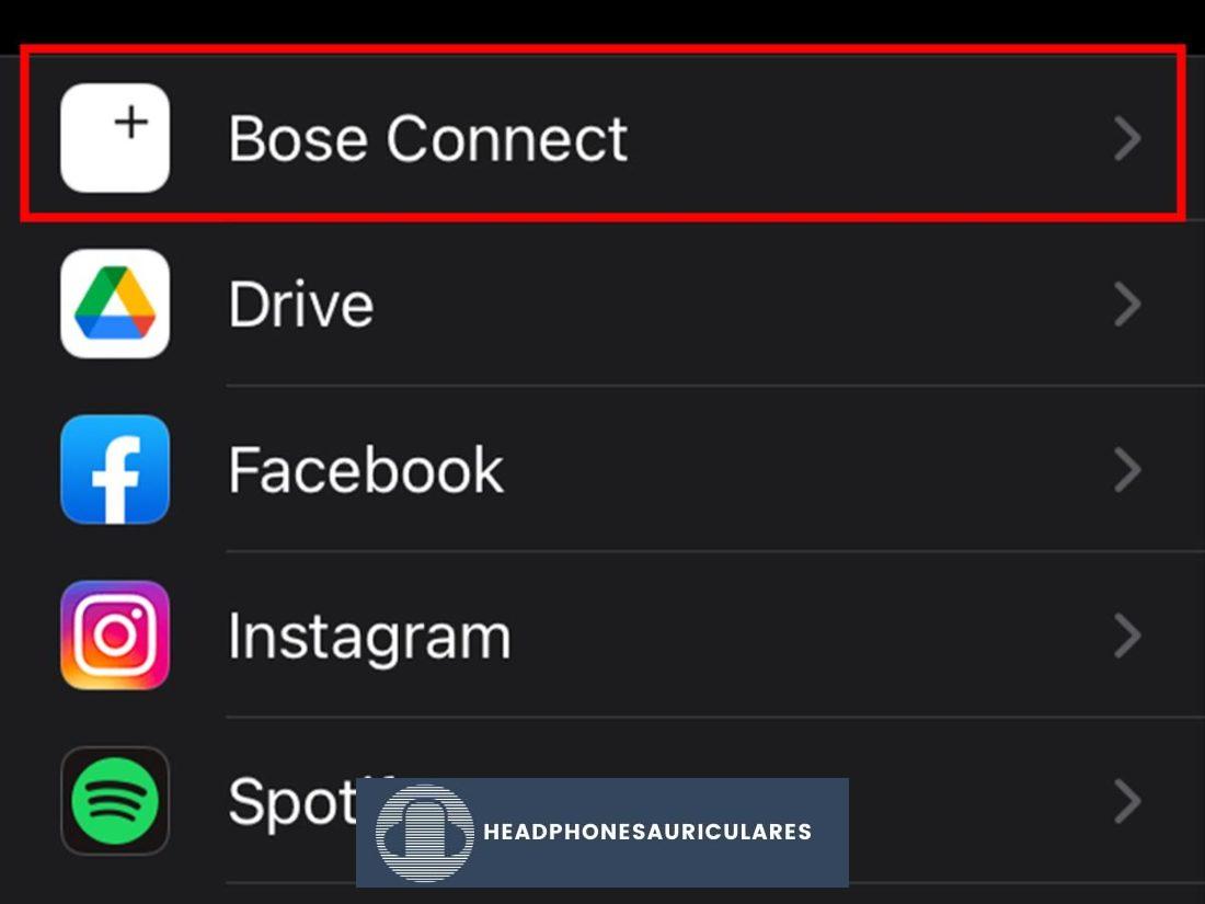 Opción Bose Connect