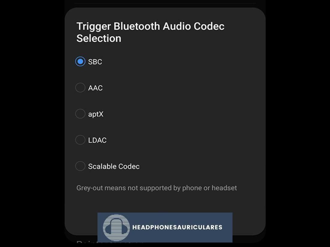 Cambiar el códec de audio a SBC