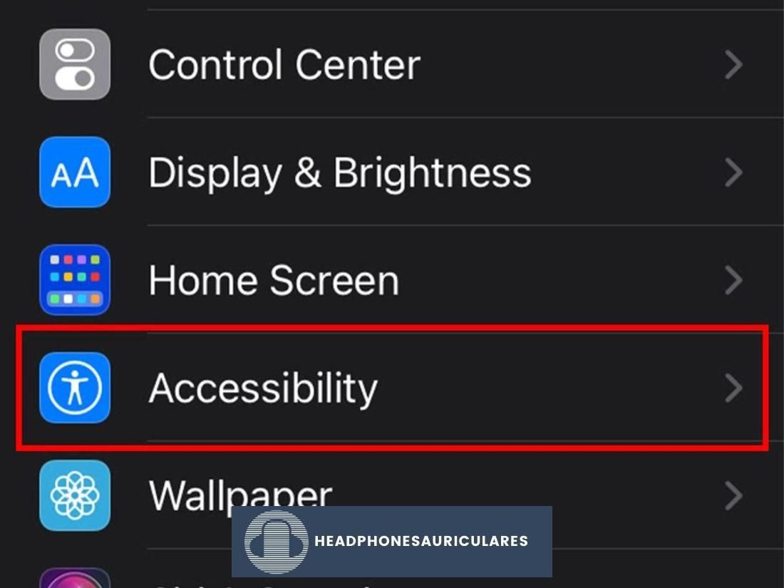 Hacer clic en Configuración de accesibilidad de iOS