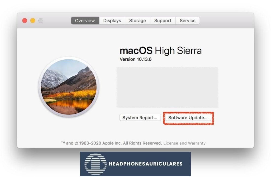 Actualización de su software desde Descripción general de Mac.
