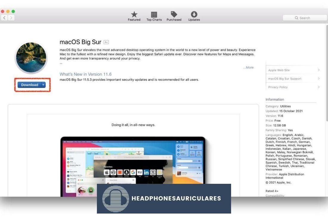 macOS Big Sur en la tienda de aplicaciones de Apple.