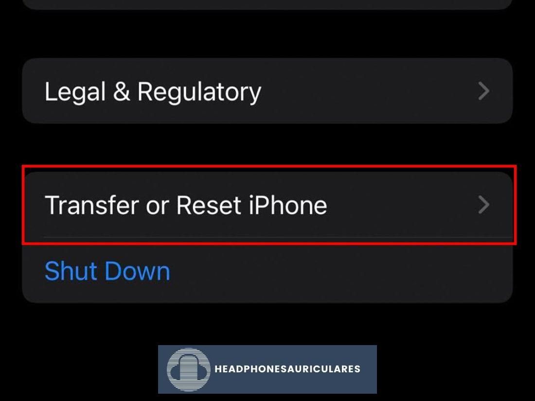 Transferir o restablecer iPhone