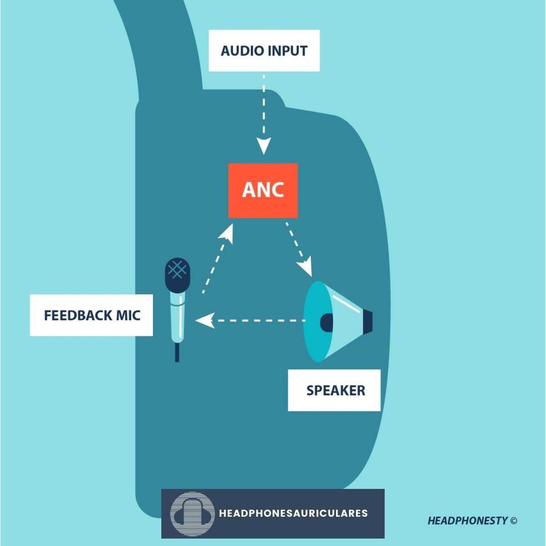 Cómo funciona Feedback ANC