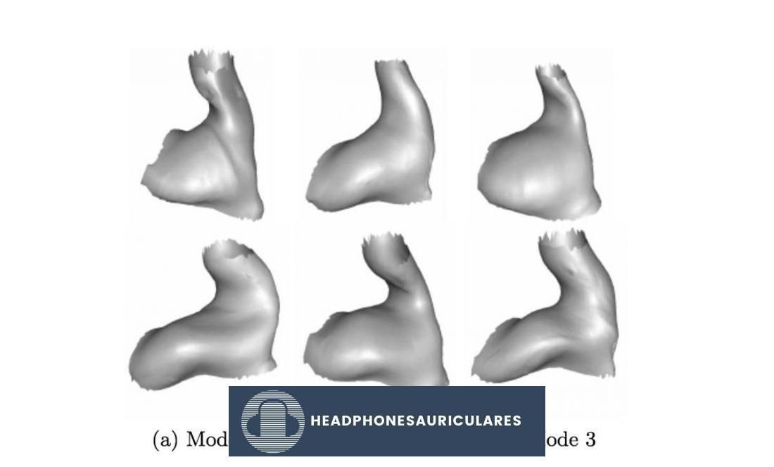 Modelos estadísticos de forma 3D del canal auditivo humano.  (De www.researchgate.net)