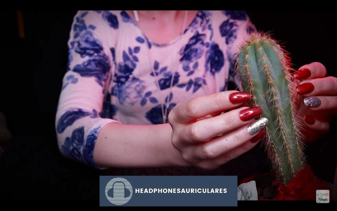 Video de ASMR Magic de sonidos nítidos, incluido un cactus único que suena como agua (de YouTube.com)