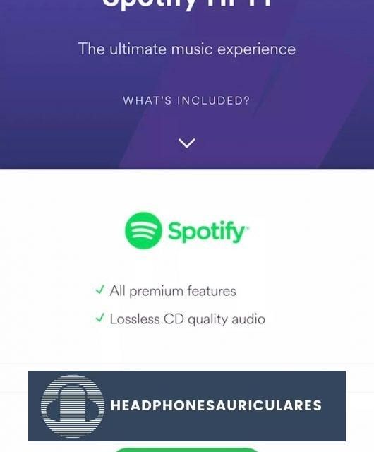 Spotify experimentó con la transmisión sin pérdidas en 2017, pero aún no se ha lanzado oficialmente.