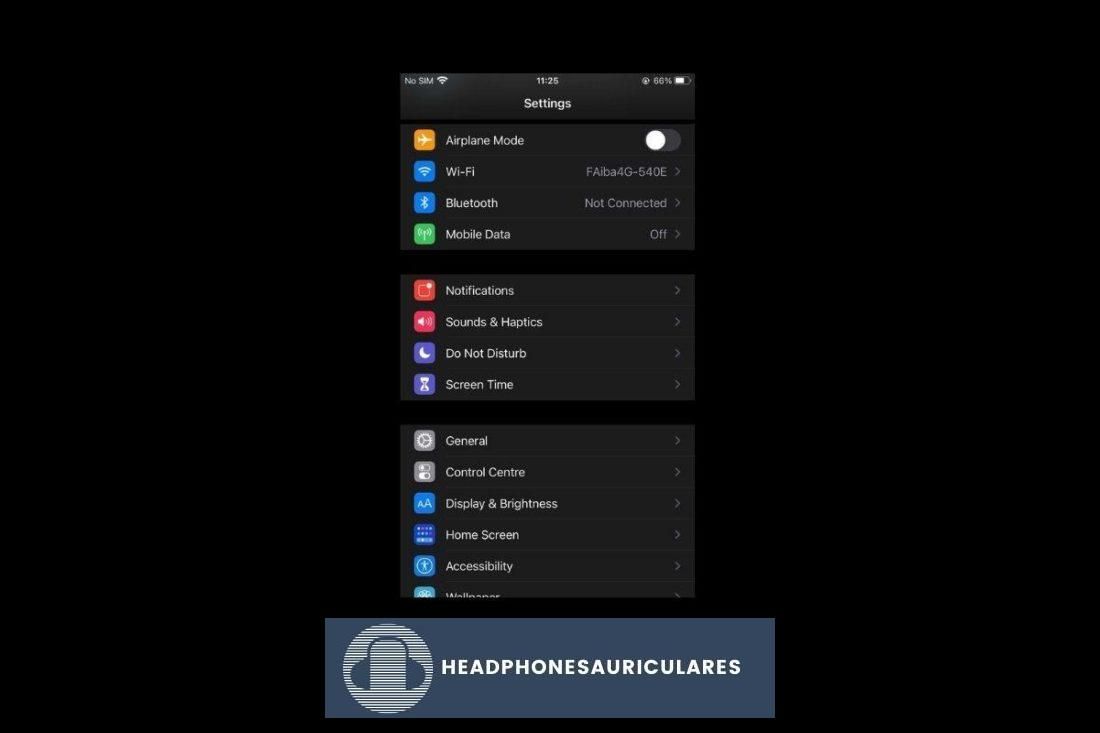 Cómo acceder a Sound & Haptics en un iPhone.