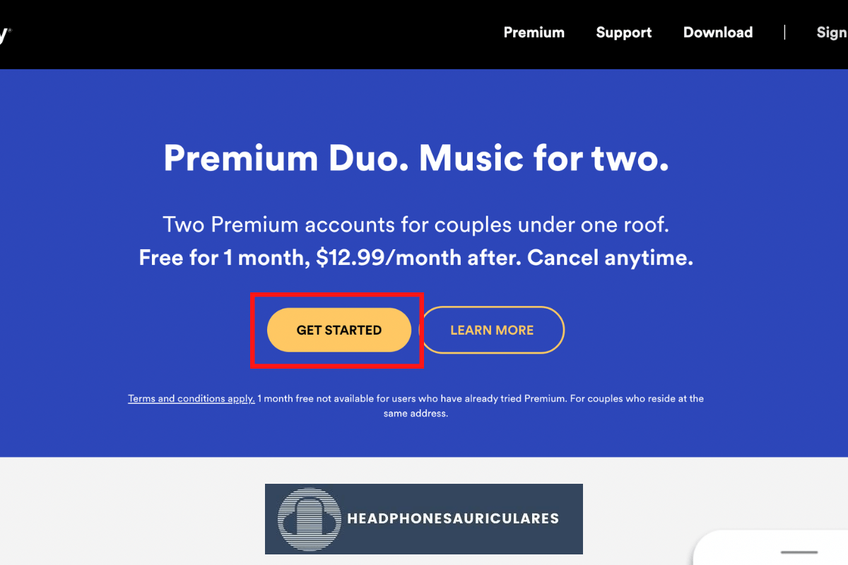 Página de inicio de Spotify Duo.